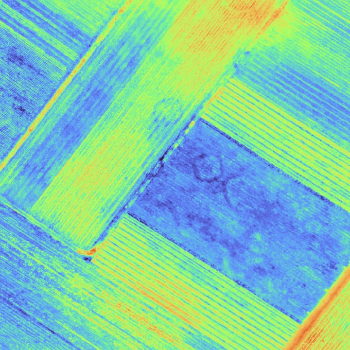 Indice de végétation sur des parcelles de vignes